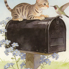 Kissa ja lintu mustan postilaatikon päällä - pikkukuva 1