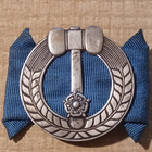 Kunnallisliiton ansiomerkki. Hopea 813 - pikkukuva 1