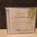 Cantus Sollemnis:Divina musica CD(avaamaton) - pikkukuva 1