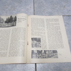 UUSI HUOMEN - NÄYTELEHTI v 1938 ISÄNMAALLISKANSALLINEN LEHTI - pikkukuva 4