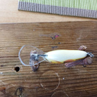 Salmo Hornet 2 - pikkukuva 4