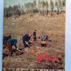 Pellervo No 8 toukokuu 1963 - pikkukuva 1