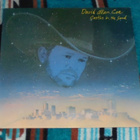 DAVID ALLAN COE ~ Castles In The Sand ~ LP - pikkukuva 1