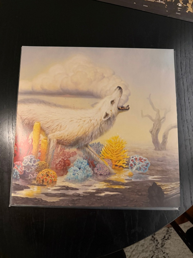 Rival Sons - Hollow Bones (LP)