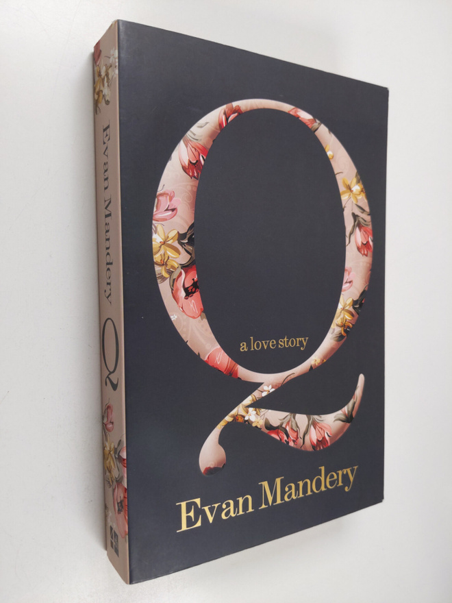 Evan Mandery : Q - A Love Story