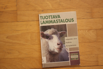 Inna Ilivitzky Tuottava lammastalous lampaiden rehut, ruo H1