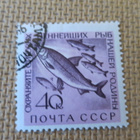 CCCP 1960: merielämää - pikkukuva 5