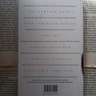 Martin Melin - Nykypäivän Machiavelli (nid.) - pikkukuva 3