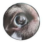 Roger Waters – The Dark Side Of The Moon (PICTURE DISC LP) - pikkukuva 4