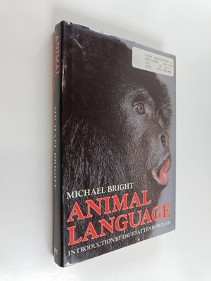 Michael Bright : Animal Language