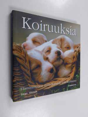Koiruuksia : elämänmenoa nelijalkaisten näkökulmasta