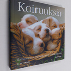 Koiruuksia : elämänmenoa nelijalkaisten näkökulmasta - pikkukuva 1