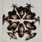 Ramones Johnny Ramone valokuva 45*30 cm DuBose Signeraus - pikkukuva 1