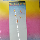 Mahavishnu Orchestra: Birds Of Fire (LP) - pikkukuva 1