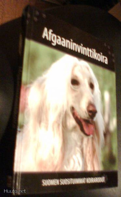 AFGAANINVINTTIKOIRA (Suomen suosituimmat koirarodut)