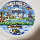 Wisconsin matkamuisto lautanen vintage - pikkukuva 3