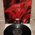 Annie Lennox Diva lp - pikkukuva 2