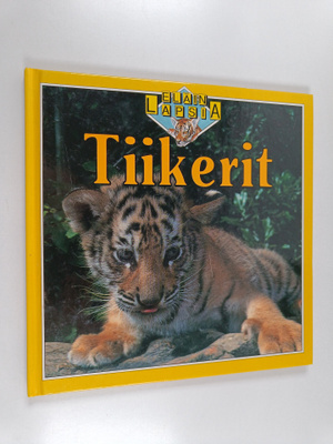 Kate Petty : Tiikerit