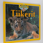 Kate Petty : Tiikerit - pikkukuva 1