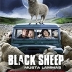 Black Sheep (40 milj. lammasta ja ovat sutena kimpussa)1364 - pikkukuva 2
