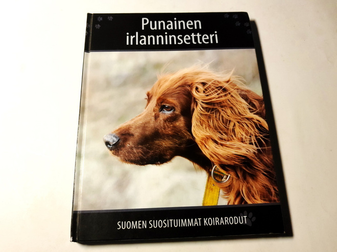 Punainen irlanninsetteri - Helsinki 2007