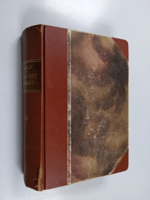 Florence L. Barclay : Valkoiset sisaret : tarina kahdenne...