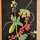 taidekortti,  kukkia, British Museum, kulkenut 2015 - pikkukuva 1