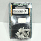 WH40K - Chaos Terminator with Heavy Flamer - pikkukuva 1