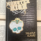 Lisi Harrison - Monster High 2: Salatut elävät (sid.) - pikkukuva 1