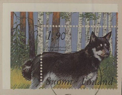 1989 Lapin porokoira loisto