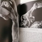 Rodin - Bernard Champigneulle - T&H 1999 - pikkukuva 4
