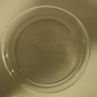 IITTALA PAULA SOKERIKKO - pikkukuva 3