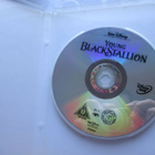 DISNEY YOUNG BLACK STALLION DVD - pikkukuva 3