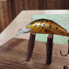 Salmo Floating 3,5cm - pikkukuva 2
