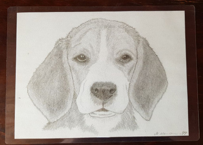 BEAGLE LAMINOITU KUVA