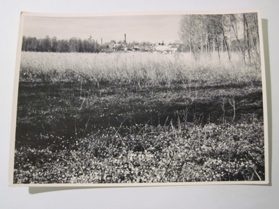 VANHA Postikortti Tammisaari 1950-luku