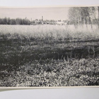 VANHA Postikortti Tammisaari 1950-luku - pikkukuva 1