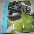 Kynsijärvi - Pöntinen Liituri - pikkukuva 1