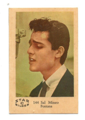 Purkkakuva STARC n:o 144 SAL MINEO