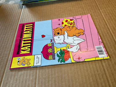 KATTIMATTI LEHTI 11/1990 HYVÄ