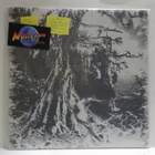 WAIL - WISDOM THROUGH AGONY INTO... M-/M- SUOMI 2009 LP - pikkukuva 1