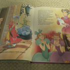 WALT DISNEY TUHKIMO KUUKAUDEN KIRJA 270 - pikkukuva 5