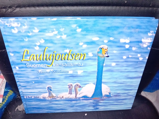 Moilanen  : Laulujoutsen ( SIS POSTIKULU