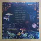 WIZZARD SLEEVE : Make The World Go Away LP - pikkukuva 2