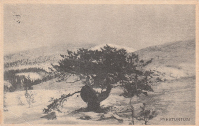PYHÄTUNTURI