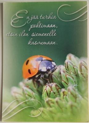 "En jää turhia pohtimaan..."-KULKEMATON POSTIKORTTI