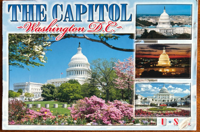The  Capitol, Washington D.C.