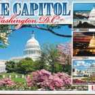 The  Capitol, Washington D.C. - pikkukuva 1