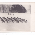 VANHA Valokuva Suojeluskunta Kuopio 1921 Postikorttikoko - pikkukuva 1