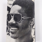 Constanze Elsner : Stevie Wonder : the remarkable life of... - pikkukuva 2